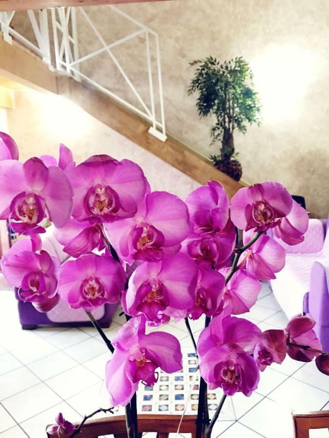 Orchidea By Dimorra * Naples