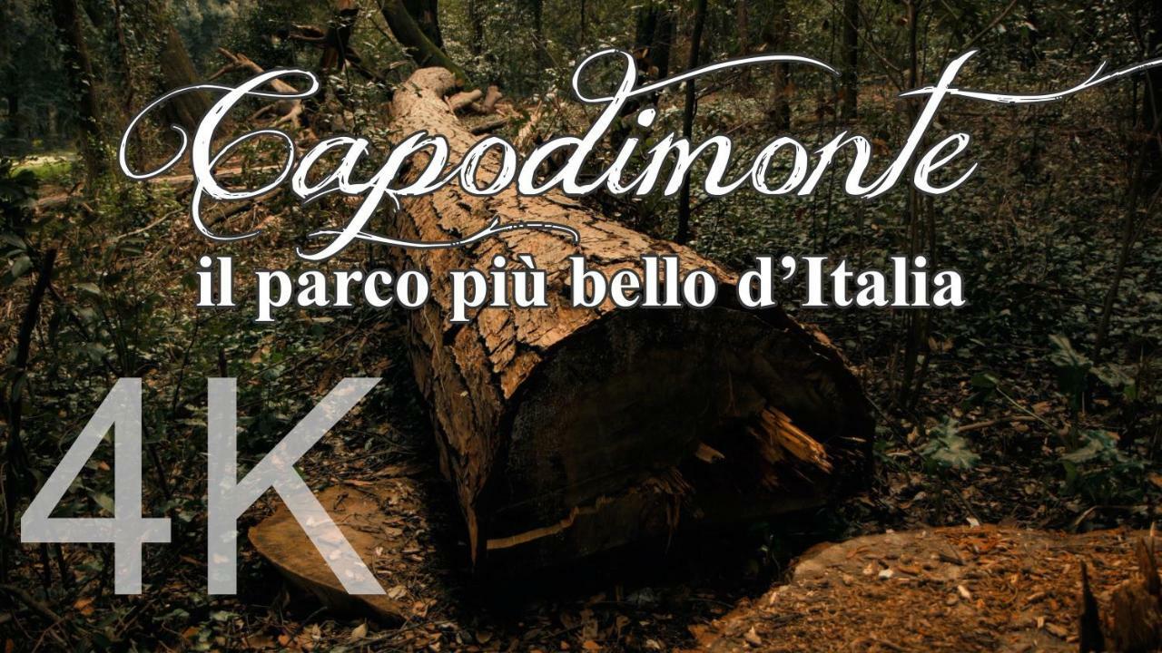 Corte Del Re Dimora Storica Bed & Breakfast