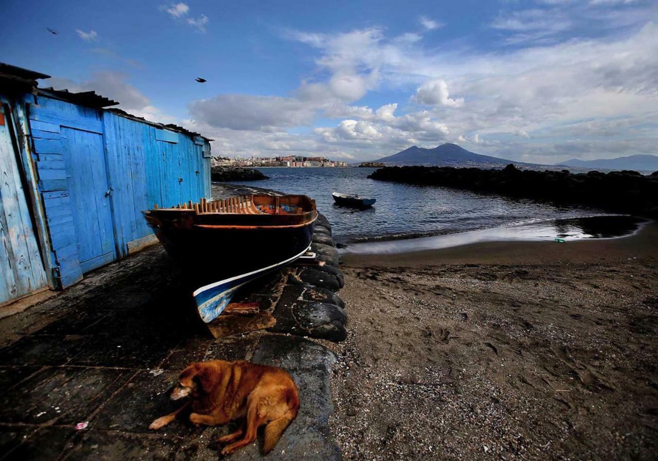 Martucci With Seaview Naples
