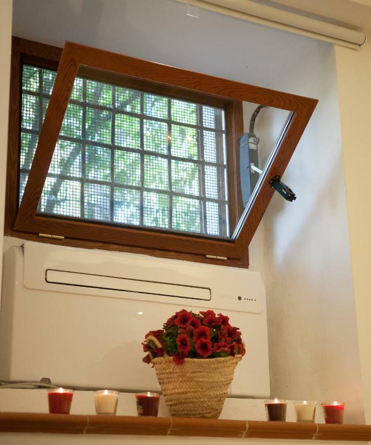 Guest house Domus Sanfelice