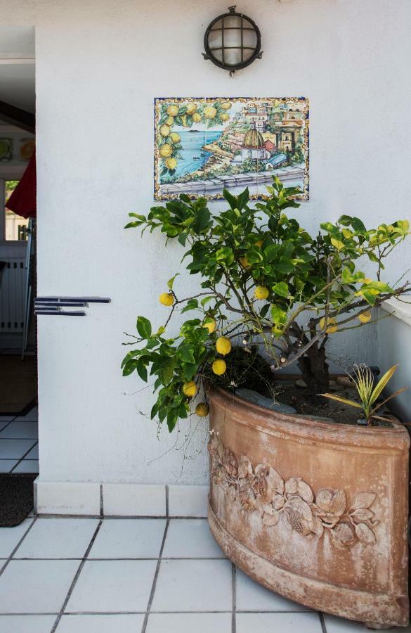 Apartment Martucci With Seaview *