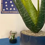 River\'S Home