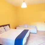 Patty House