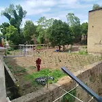 Tra I Giardini Della Scalinata Di San Gennaro