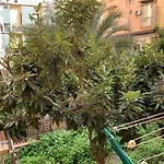 Da Ninetta Resterete Senza Parole, Garantito!
