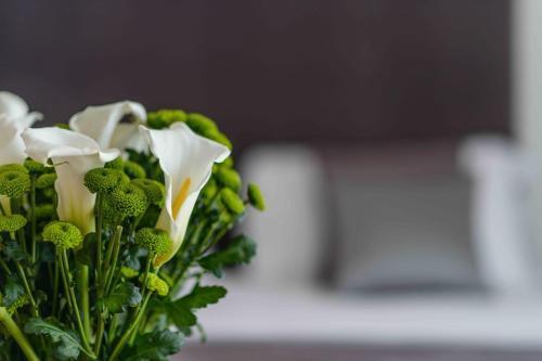 Bed & Breakfast Le Mummarelle Naples