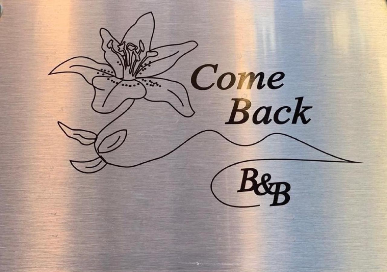 Come Back Bed & Breakfast *