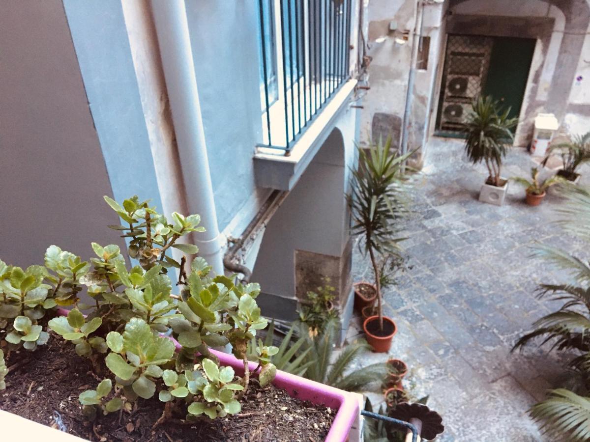 Maria Guest house