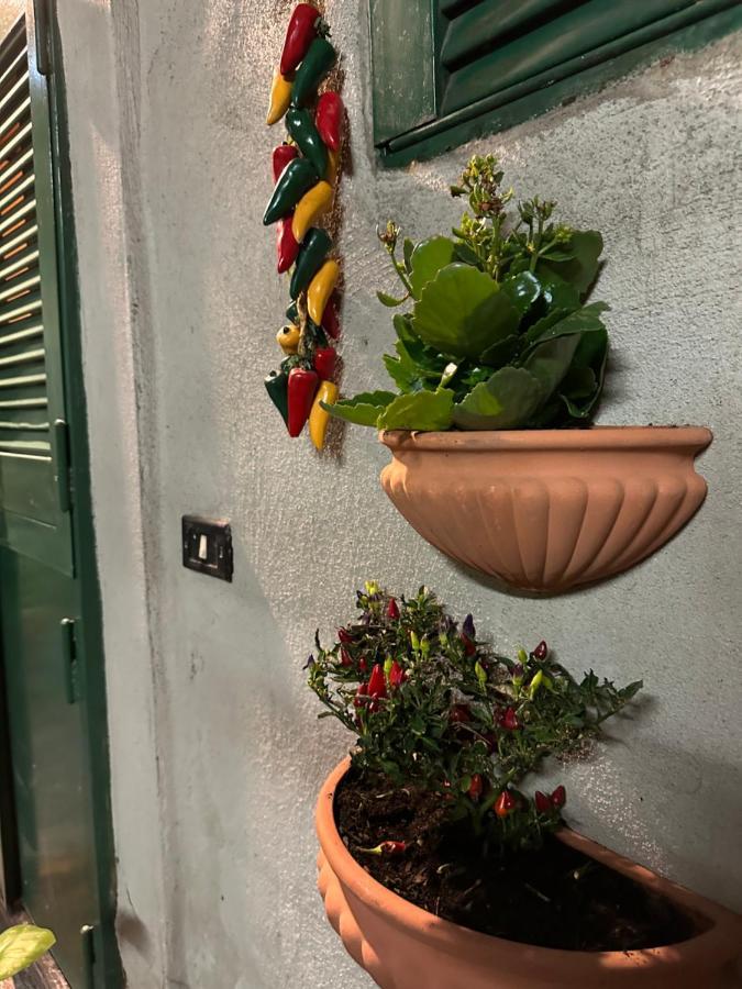 Apartment Tiny House - Spaccanapoli