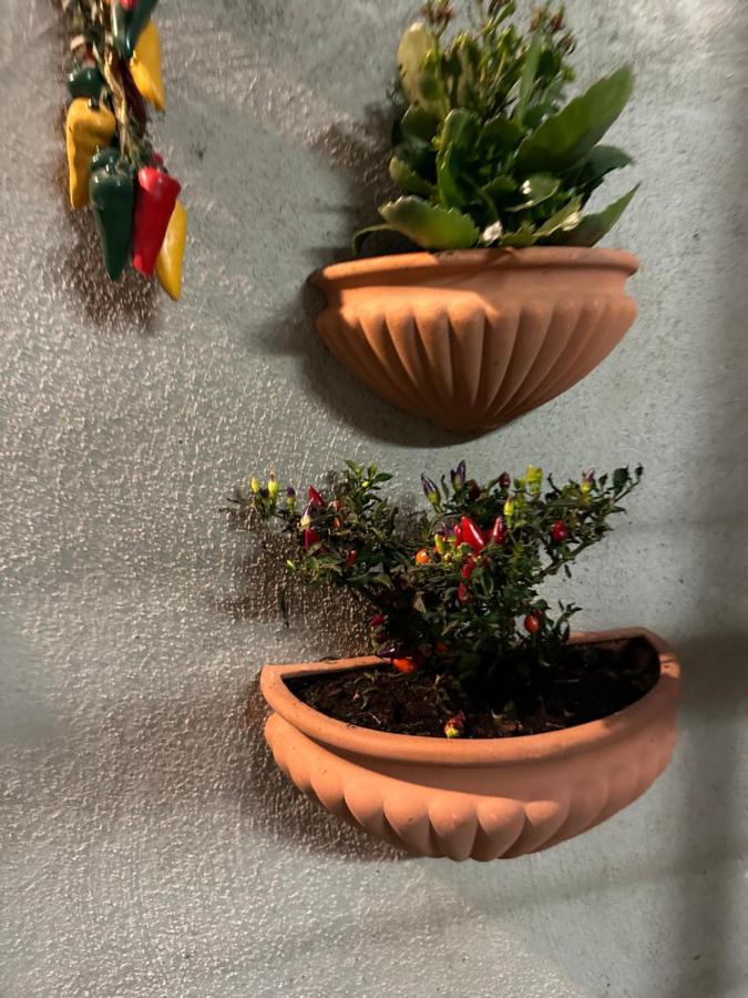 Tiny House - Spaccanapoli * Naples