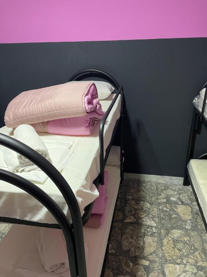 Alexander Hostel *