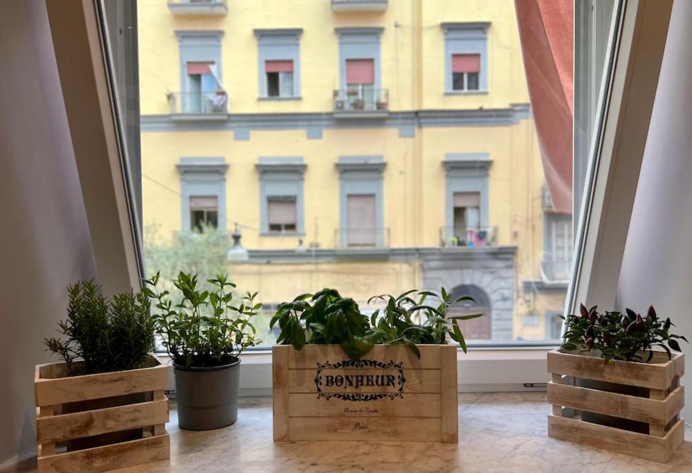 Casa Losito, Boutique 100 Mq In The Heart Of Naples! Apartment *