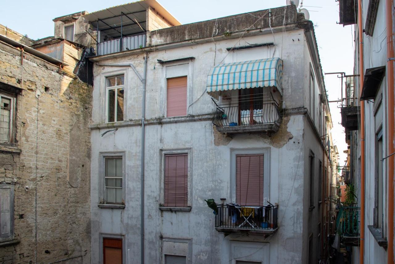 Domus Anticaglia By Domusextra