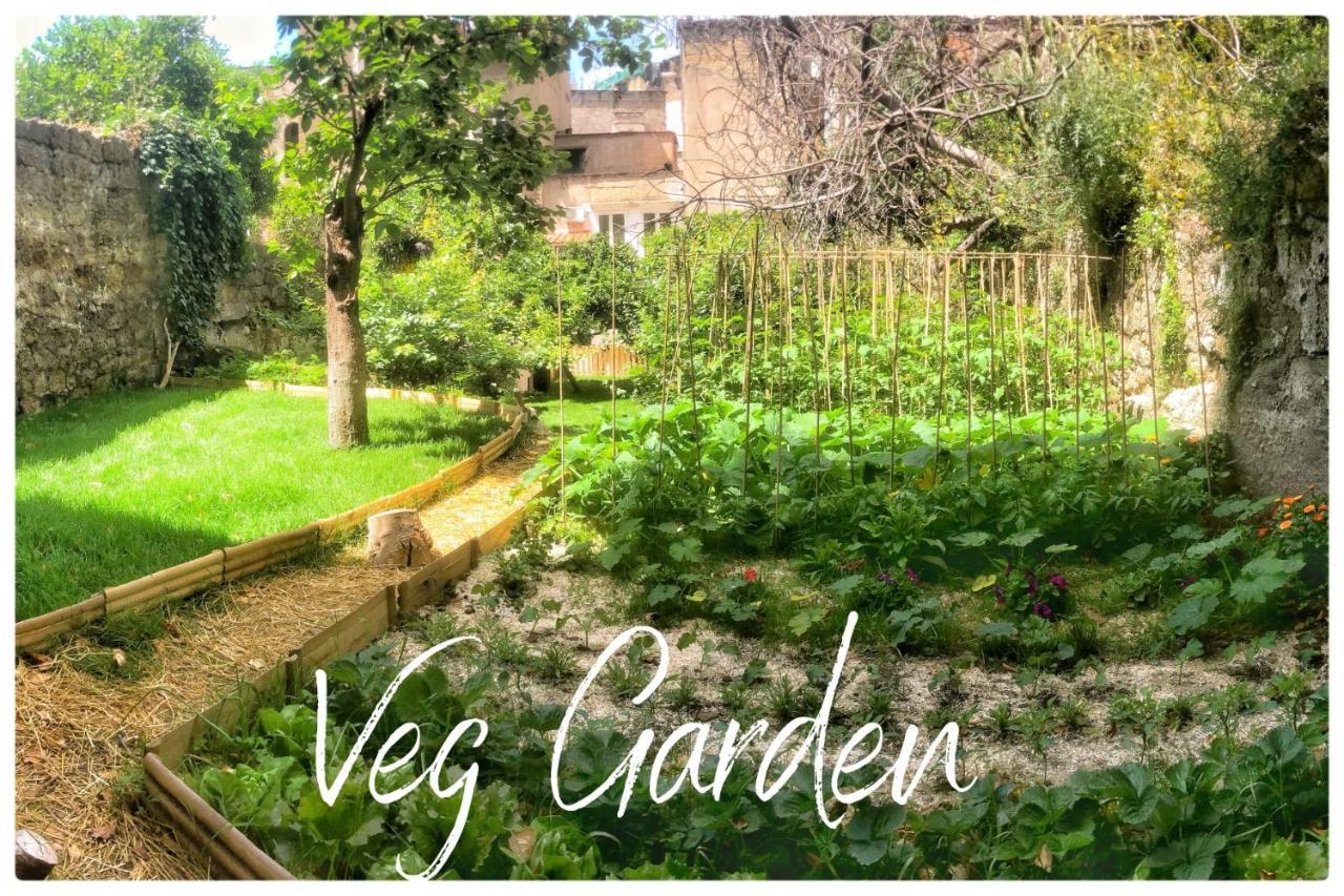 Casa Vayu - & Garden