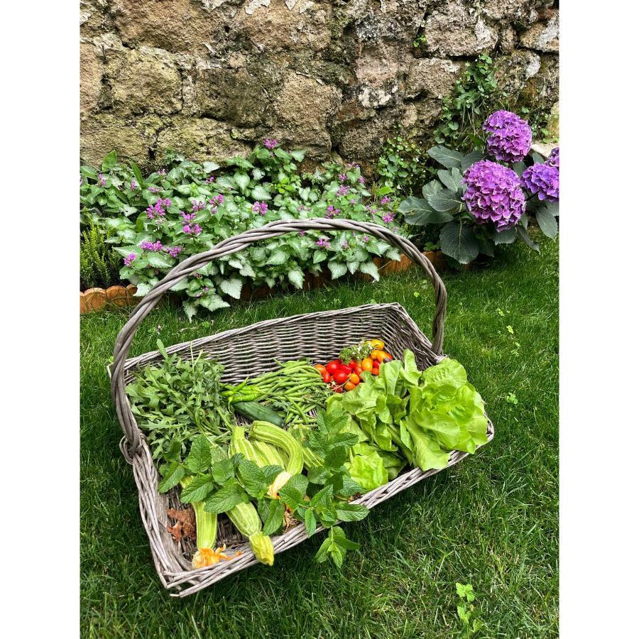 Casa Vayu - & Garden Bed & Breakfast *