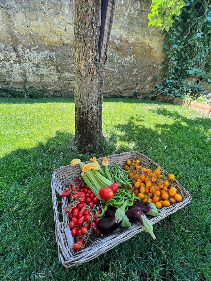 Casa Vayu - & Garden * Naples