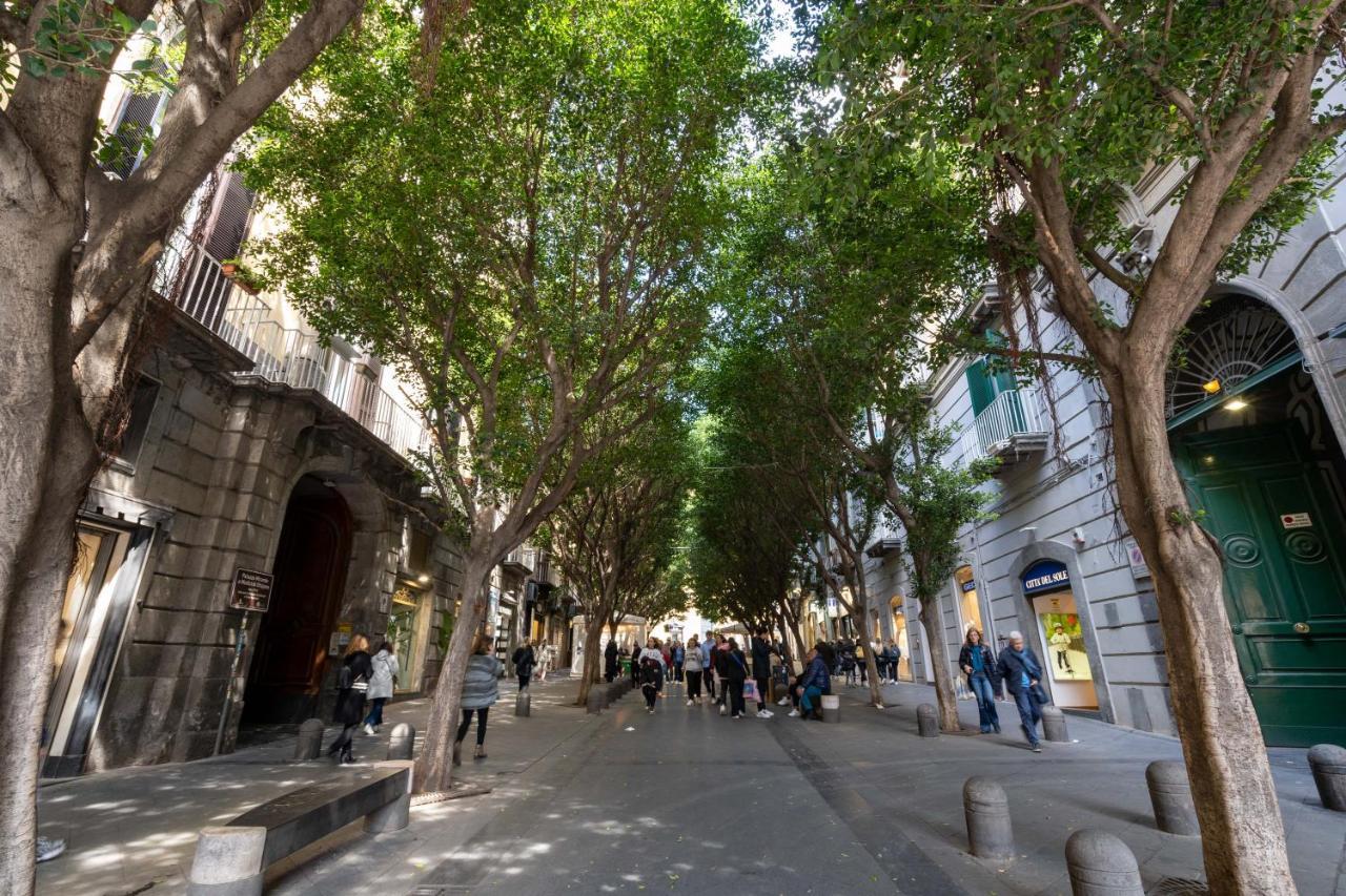 Elegante Con Terrazzino Nel Centro Di