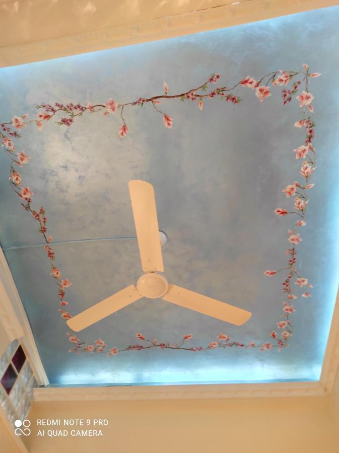 Nell'antico Palazzo Salsi Apartment