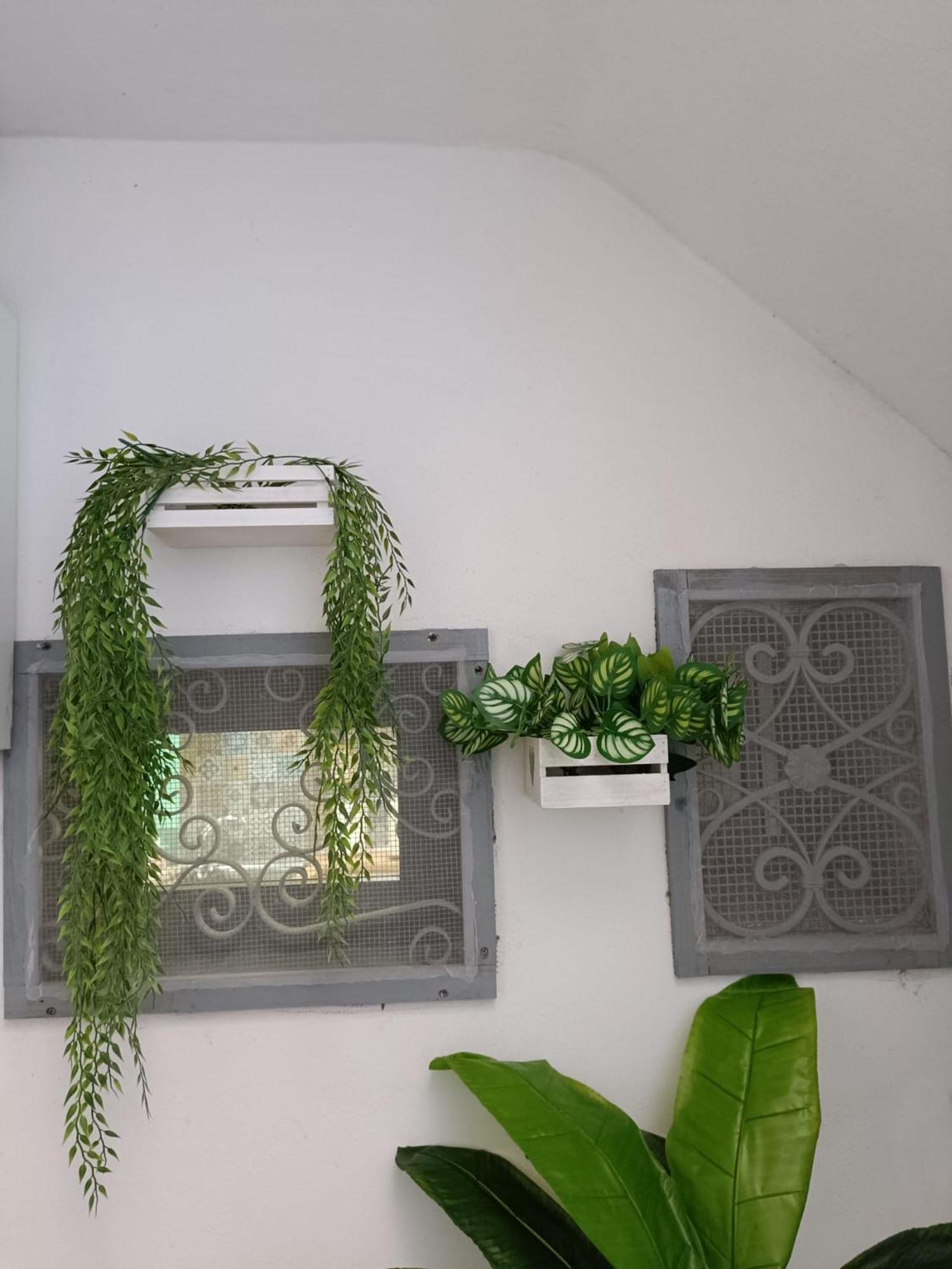 Vascio Holiday home