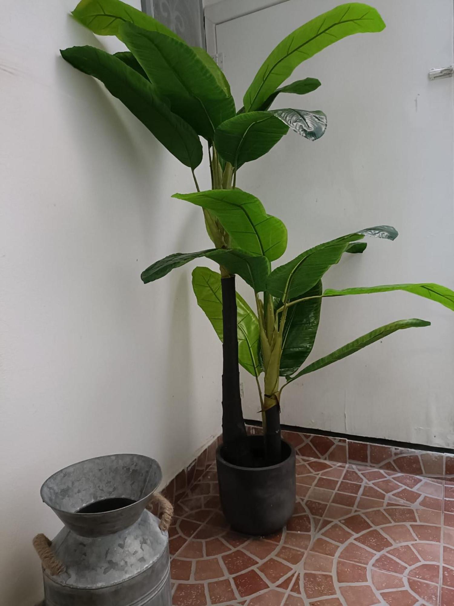 Holiday home Vascio Naples