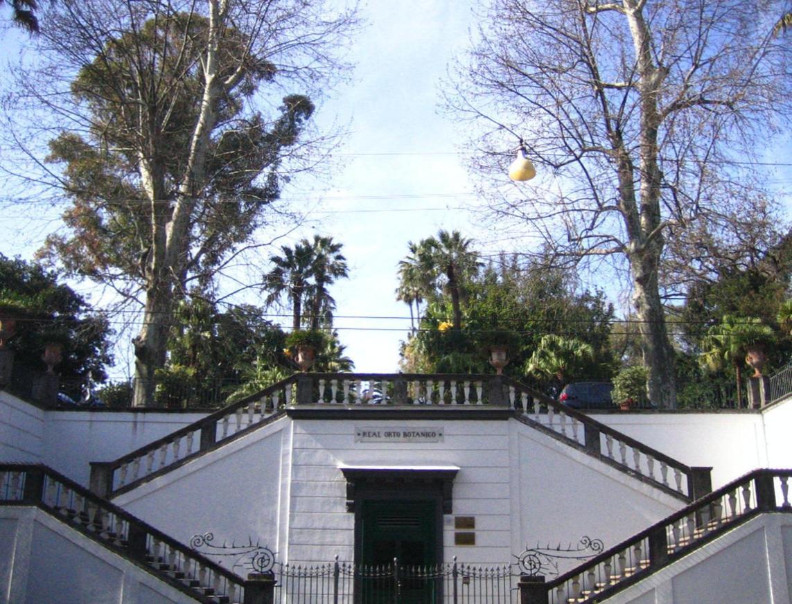 Apartment Ira House *