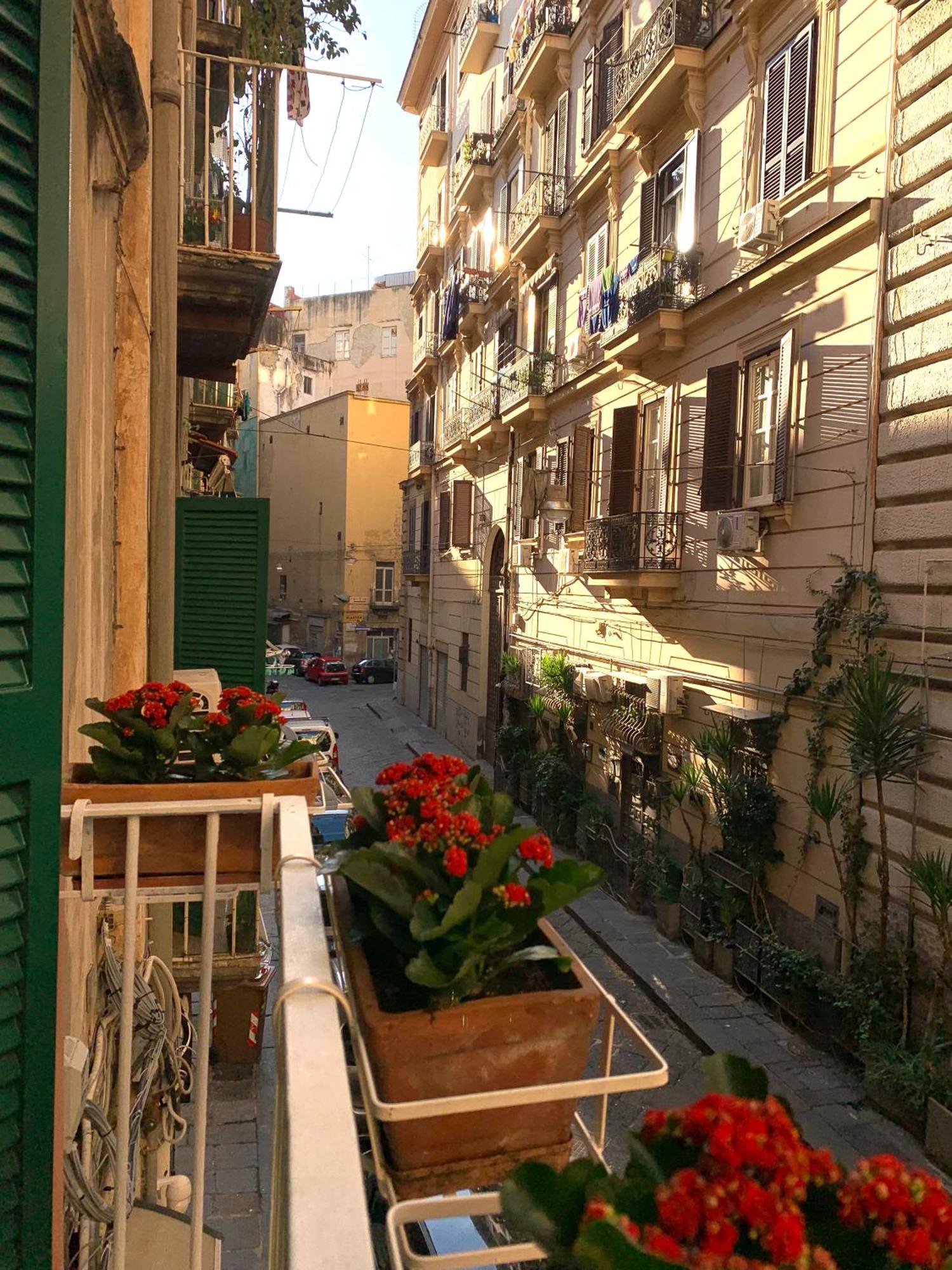 Apartment Casa Giulia, Nuovo In Centro!