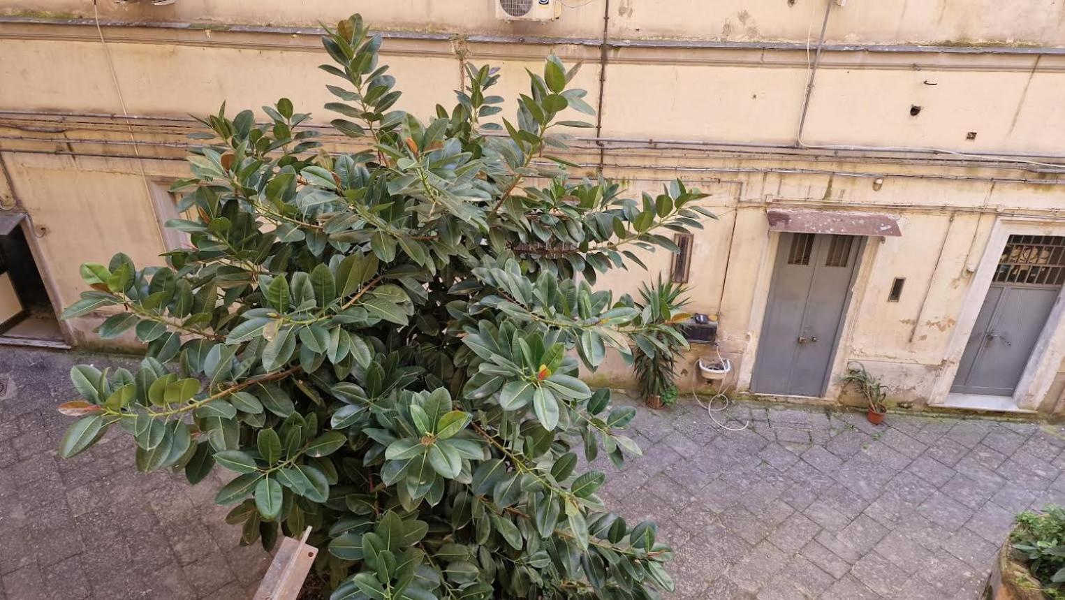 Bed & Breakfast Station Naples