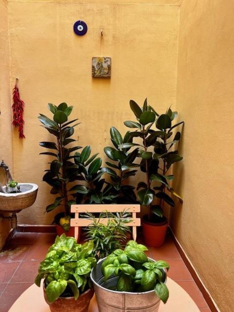 La Casa Dei Librai * Naples