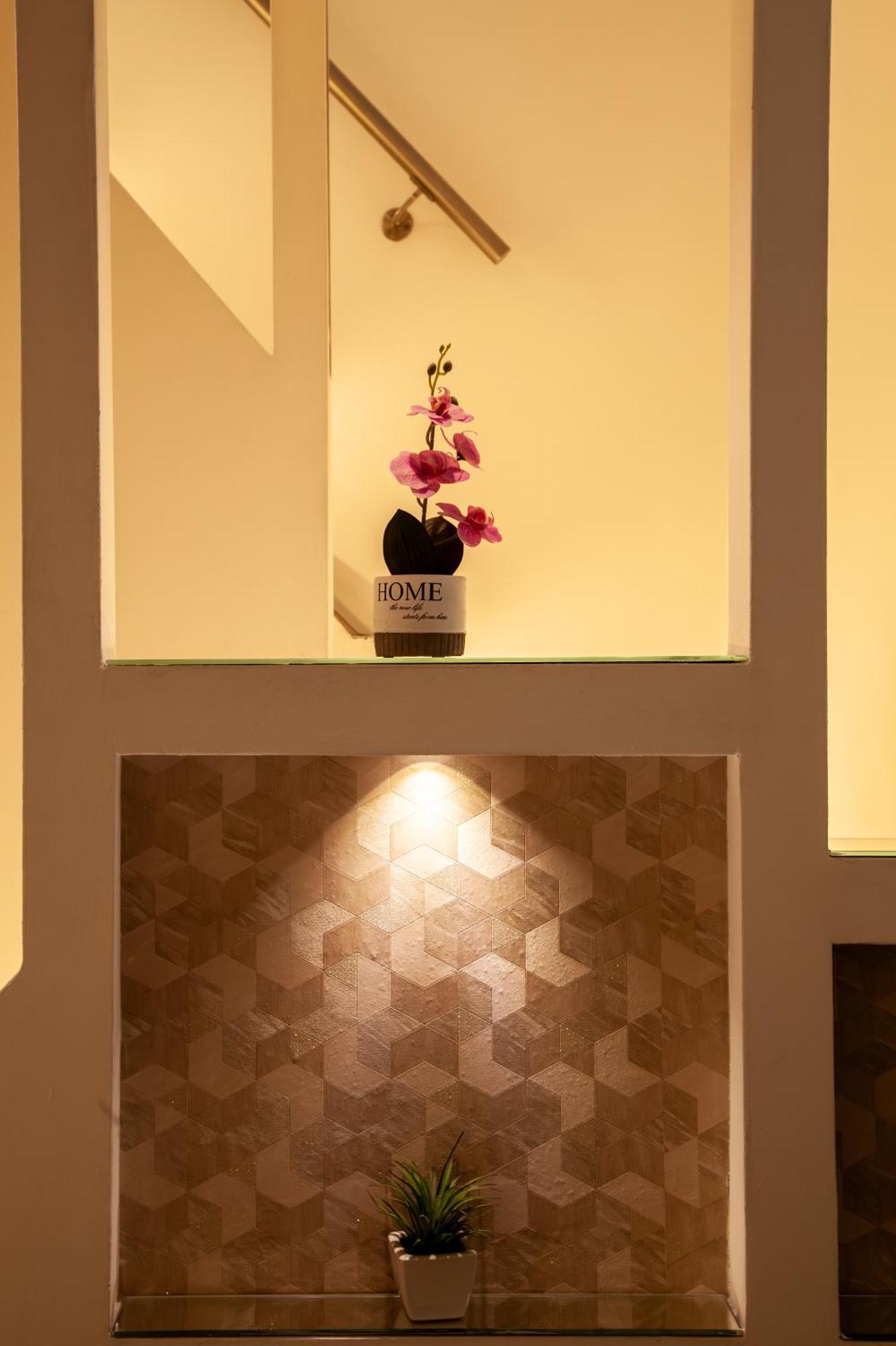 Dream & Fly Guest house