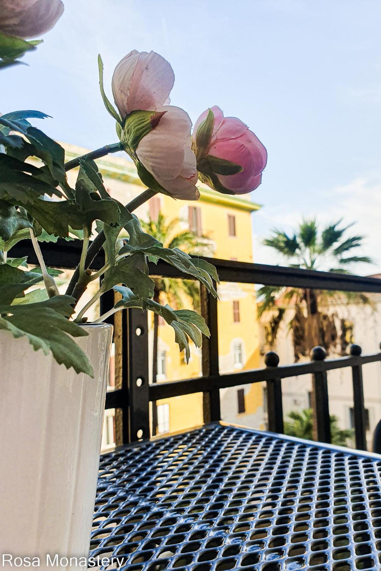 Apartment Rosa Monastery *