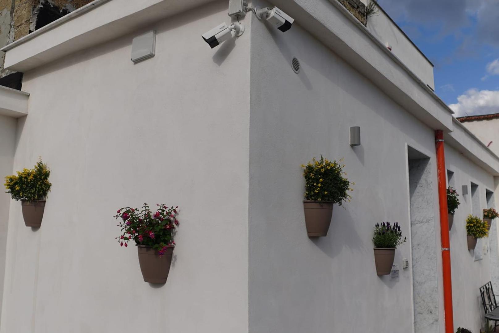 Vesuvio Capodichino Apartment *