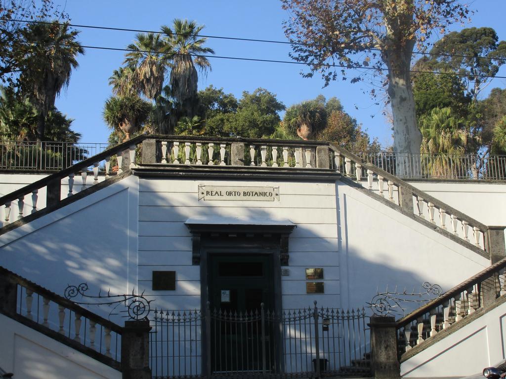 Apartment Nell'antico Palazzo Salsi