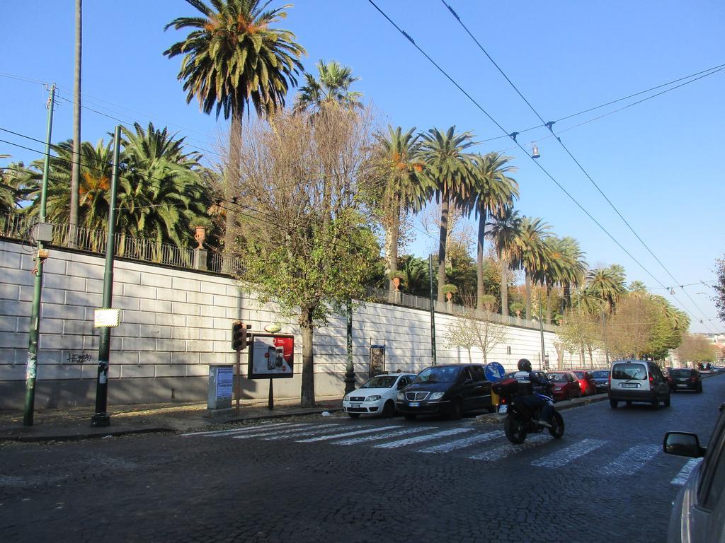 Nell'antico Palazzo Salsi Apartment