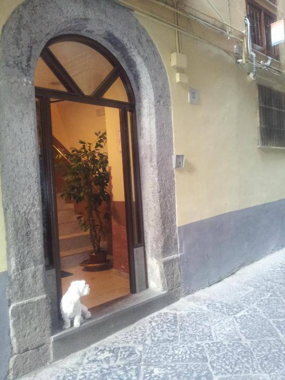 Dei Gerolomini Guest house Naples