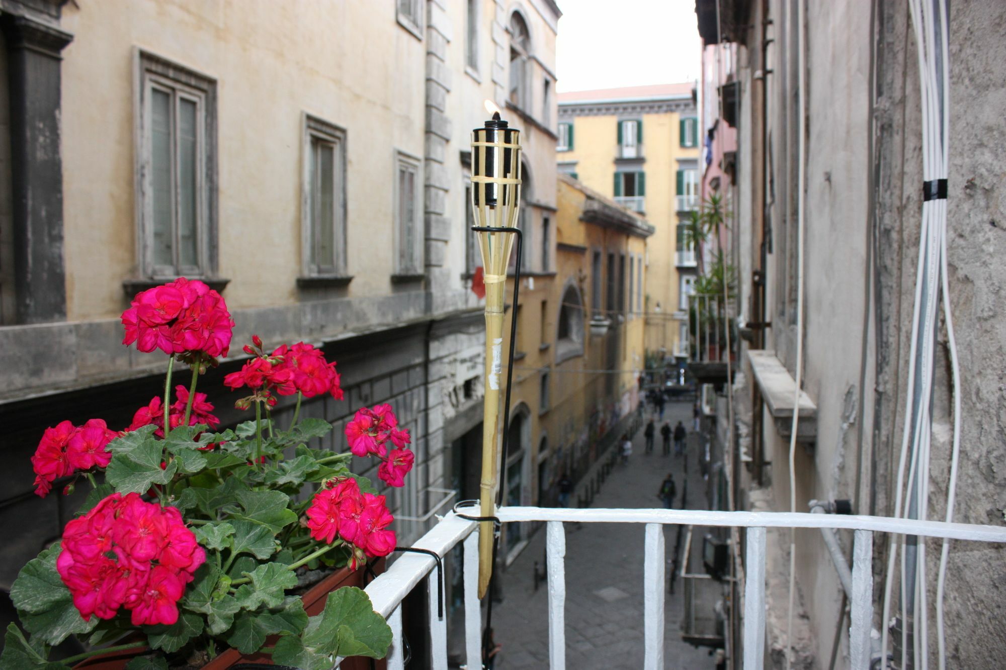 Il Conservatorio 2*