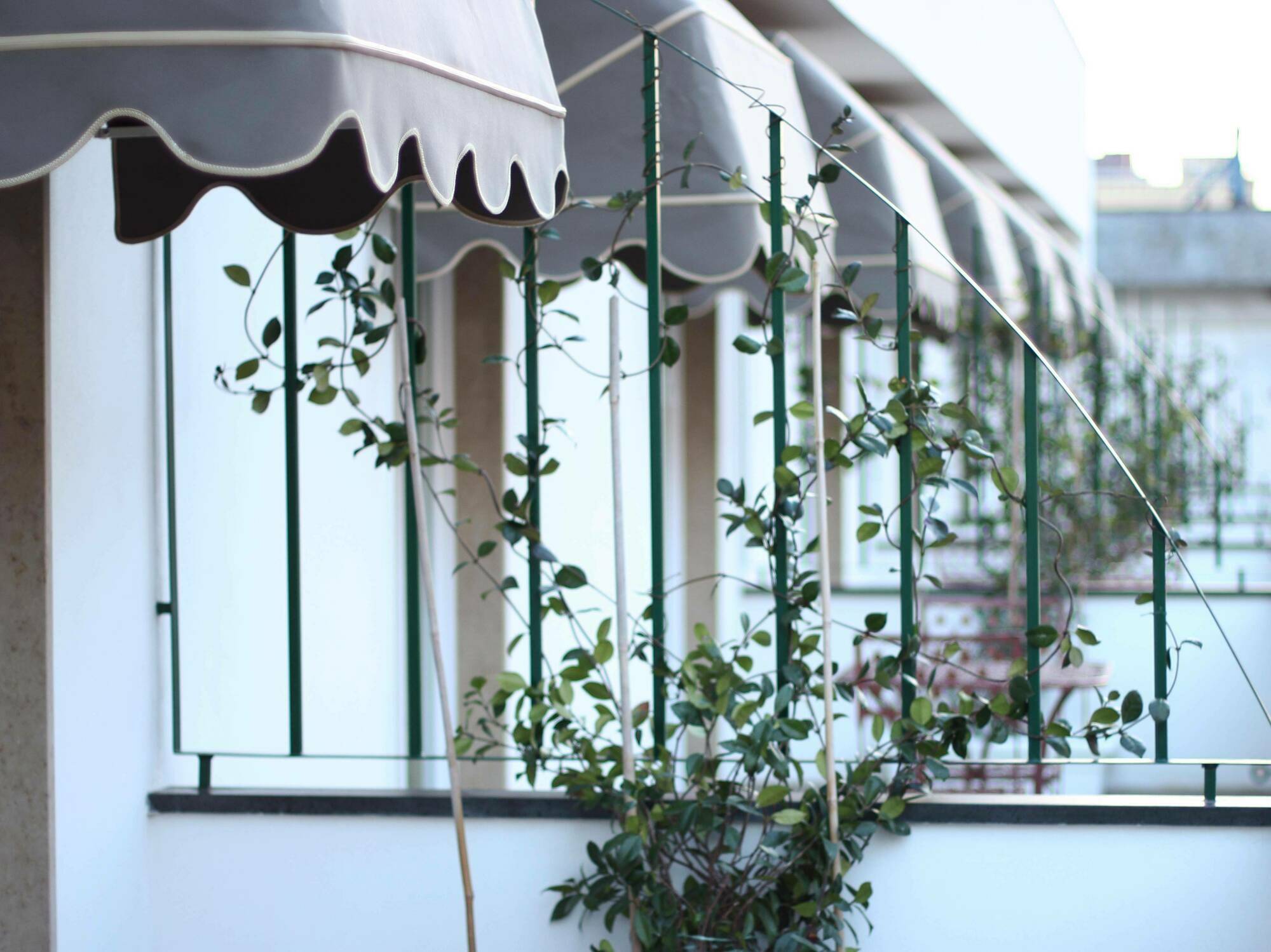 Hotel Stelle The Businest