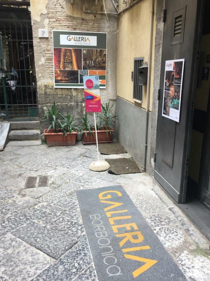 Apartment Plebiscito *