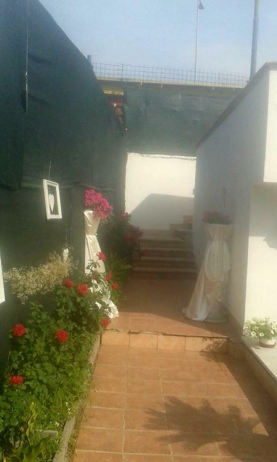 Garden House Airport Apartment *