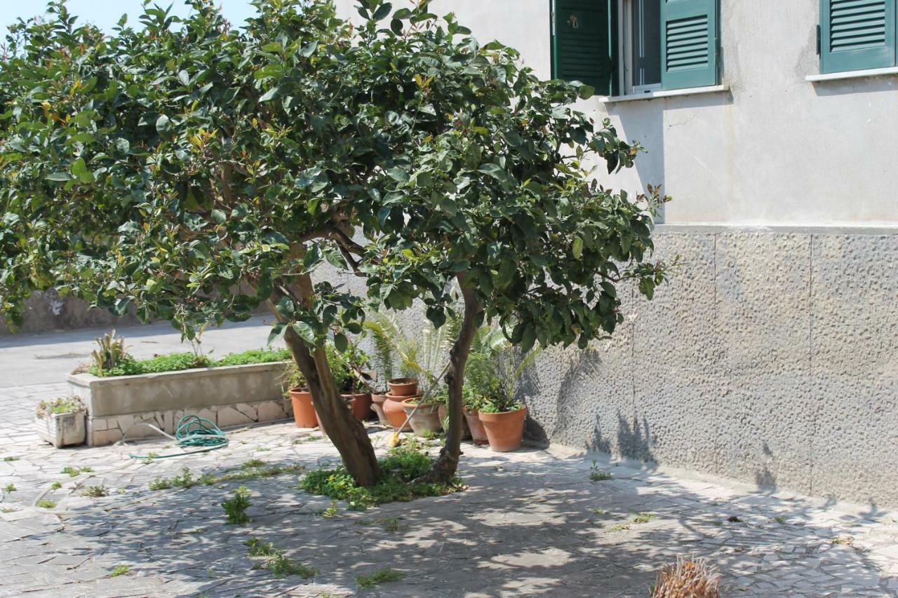 Paura Naples