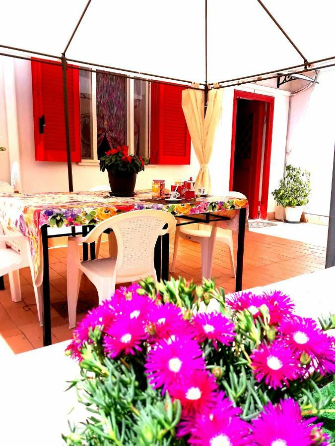 Garden House Airport Apartment *