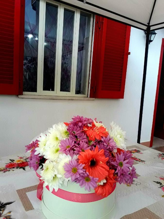 Garden House Airport Apartment Naples