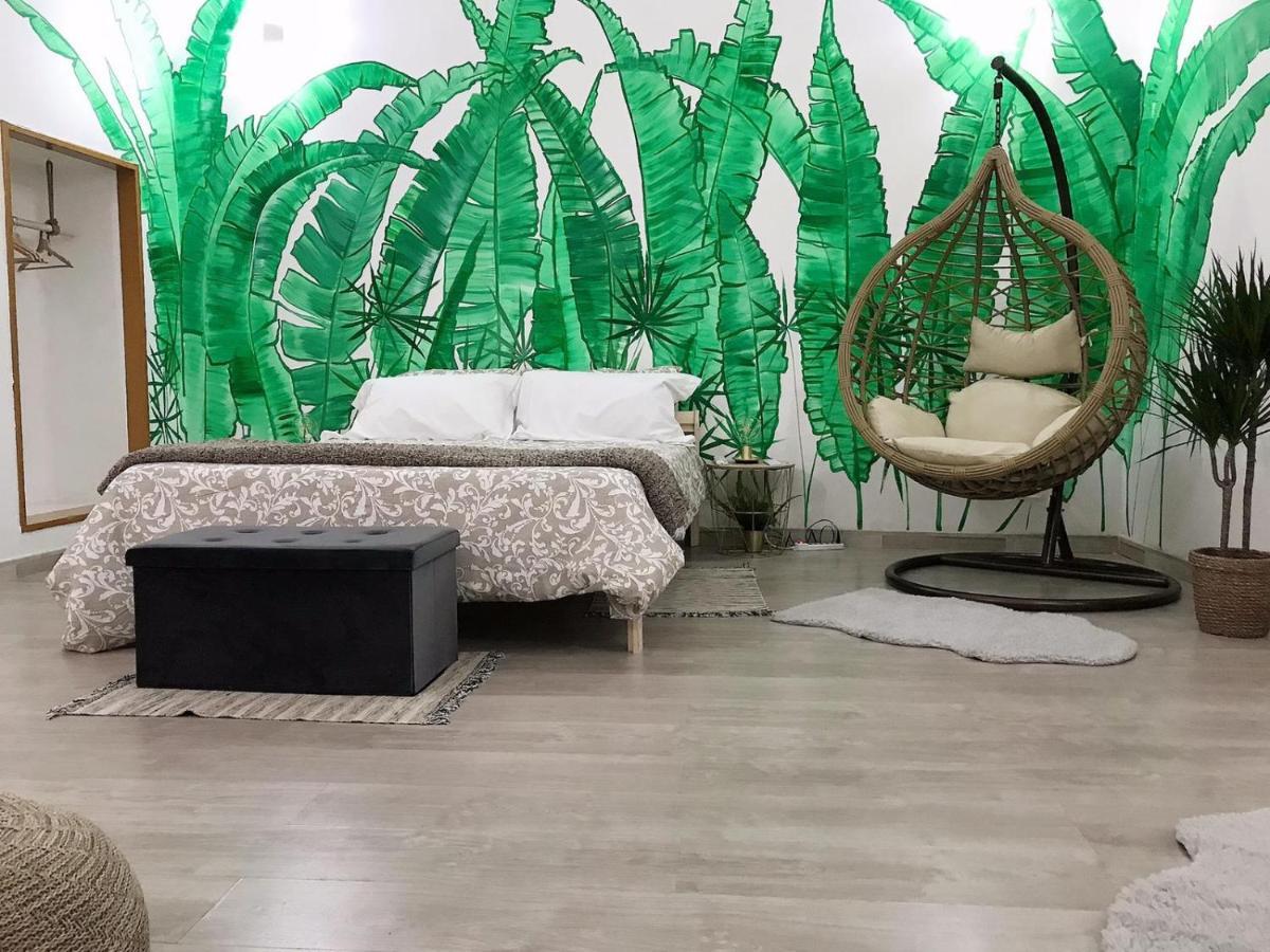 Urban Jungle Rooms *