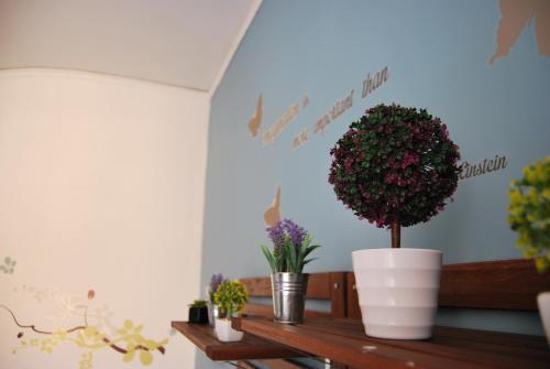 Bed & Breakfast Spaccanapoli Bros. Naples